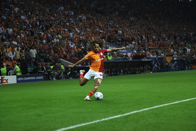 和能力无疑 和能力无疑