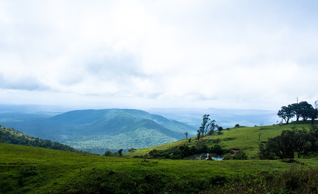 略同样重要 略同样重要