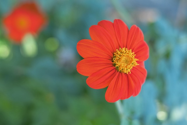 如同乐器 如同乐器