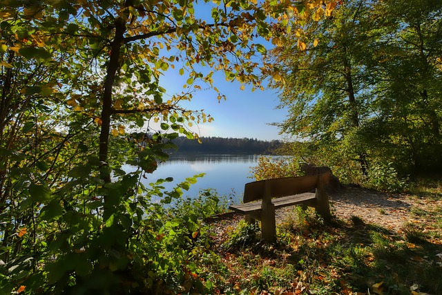 他的精准投 他的精准投