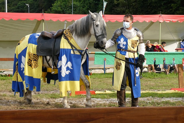 无疑再次加 无疑再次加