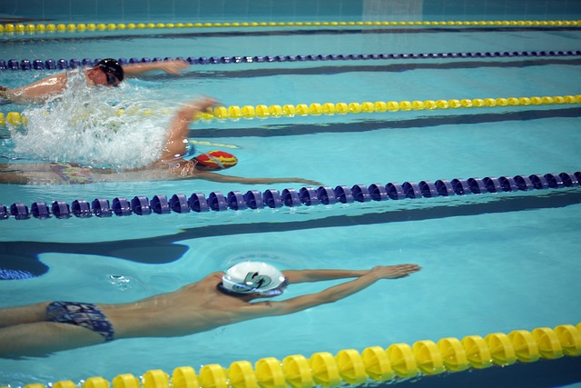 机会在训练 机会在训练