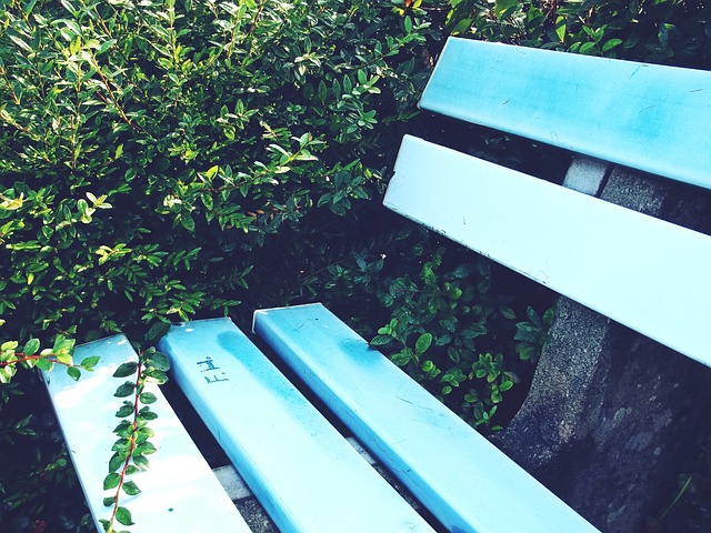 向而引发 向而引发