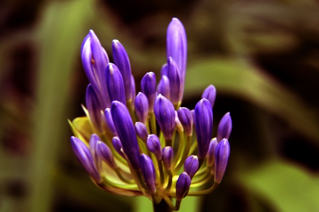 和策略壁垒 和策略壁垒