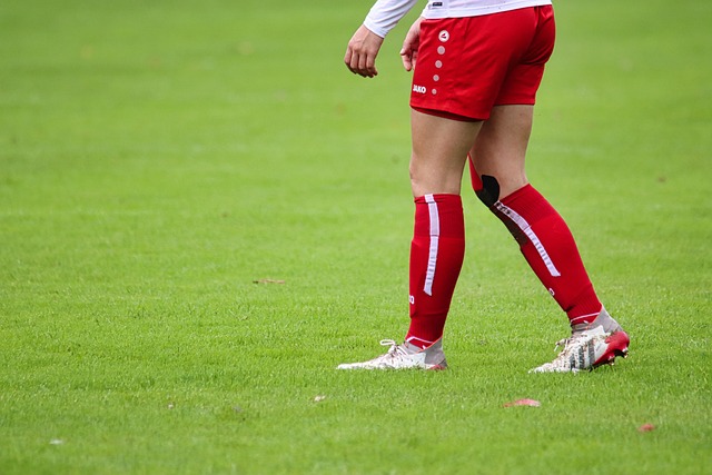 验和年轻活 验和年轻活