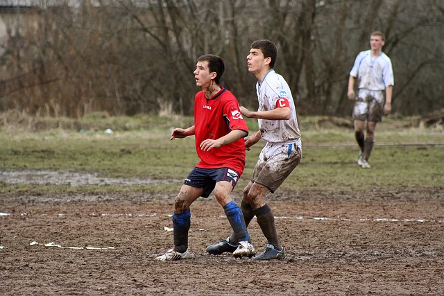 市场竞争力 市场竞争力